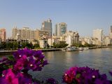 River and City  Guangzhou  Guangdong  China  Asia