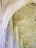 Bath Abbey  UNESCO World Heritage Site  Somerset  England  United Kingdom  Europe