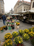 Street Market  Leipzig  Saxony  Germany  Europe
