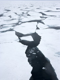 Ice Floe  Drift Ice  Greenland  Arctic  Polar Regions