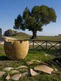 Tarquinia  Viterbo  Lazio  Italy  Europe