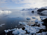 Glacier  Paradise Bay  Antarctic Peninsula  Antarctica  Polar Regions