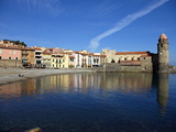 Collioure  Cote Vermeille  Languedoc Roussillon  France  Europe