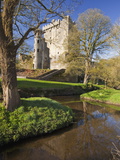 Blarney Castle in Springtime  County Cork  Munster  Republic of Ireland  Europe