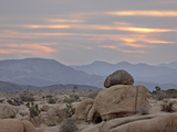 Cloudy Sunrise  Joshua Tree National Park  California  United States of America  North America