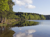 Sognsvann Lake  Oslo  Norway  Scandinavia  Europe
