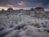 Landscape  Joshua Tree National Park  California  United States of America  North America