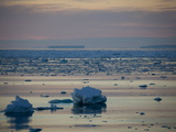 Ice Floe in Midnight Light  Southern Ocean  Antarctic  Polar Regions