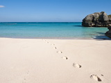 Warwick Long Bay  Jobson's Cove  Bermuda  Central America