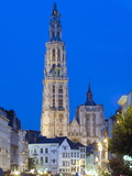 Tower of Onze Lieve Vrouwekathedraal Illuminated at Night  Antwerp  Flanders  Belgium  Europe