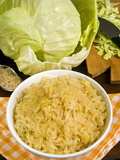 Sauerkraut (Sour Cabbage)  a Traditional German Dish  Germany  Europe