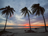 Playa Guiones Beach  Nosara  Nicoya Peninsula  Guanacaste Province  Costa Rica