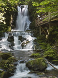 Dickson Falls in Fundy National Park  New Brunswick  Canada  North America