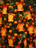 Tangerine Good Luck Symbols  Chinese New Year Decoration  Macao  China  Asia