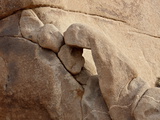 Small Arch  Joshua Tree National Park  California  United States of America  North America