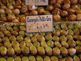 Escargot (Edible Land Snails) For Sale at Local Market in Paris  France  Europe