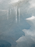 Icicles on the Face of the Athabasca Glacier  Jasper National Park  Alberta  Canada