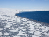 Pack Ice  Dumont D'Urville  Antarctica  Polar Regions