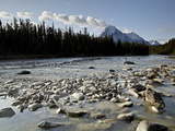 Whirlpool River  Jasper National Park  UNESCO World Heritage Site  Alberta  Canada  North America
