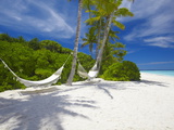 Hammock on Empty Tropical Beach  Maldives  Indian Ocean  Asia