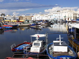 Old Port Canal and Fishing Boats  Bizerte  Tunisia  North Africa  Africa