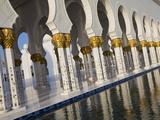 Gilded Columns of Sheikh Zayed Bin Sultan Al Nahyan Mosque  Abu Dhabi  United Arab Emirates