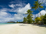 Beach Bungalows at Beach of Anse Volbert  Praslin  Seychelles  Indian Ocean  Africa