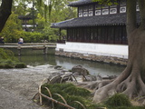 The Humble Administrator's Garden  Suzhou  Jiangsu  China  Asia