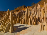 Red Tsingys  Strange Looking Sandstone Formations  Near Diego Suarez (Antsiranana)  Madagascar