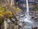 Svartifoss Waterfall in the Skaftafell National Park  Iceland  Polar Regions