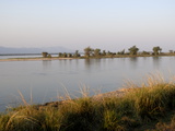 Zambezi River in the Early Morning  Manapools National Park  Zimbabwe  Africa