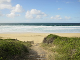 Beach at Hawks Nest  New South Wales  Australia  Pacific