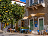 Orange Tree in a Little Village in the Lakonian Mani  Peloponnese  Greece  Europe