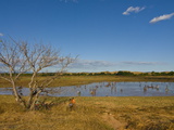 People Fishing in a Shallow Lake Near Diego Suarez (Antsiranana)  Madagascar  Africa