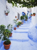 Blue Painted Steps With Flower Pots  Chefchaouen  Morocco  North Africa  Africa