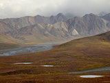 Mountains and Tundra in Fall Color  Denali National Park and Preserve  Alaska  USA