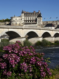 Chateau D'Amboise on the River Loire  Indre-Et-Loire  Loire Valley  France