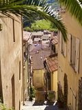 Collioure  Languedoc Roussillon  France  Europe