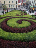 Park in Macau  China  Asia