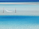 Hammock Hanging in Shallow Clear Water  Maldives  Indian Ocean  Asia