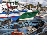 Fishing Boats  Kelibia Harbour  Tunisia  North Africa  Africa