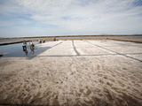 Trapani Salt Beds  Sicily  Italy  Mediterranean  Europe