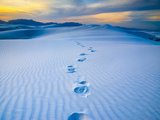 White Sands National Monument  New Mexico  USA