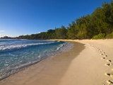 Beach Anse Cocos  La Digue  Seychelles  Indian Ocean  Africa