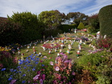Garden Gnomes  Port Stanley  Falkland Islands  South America