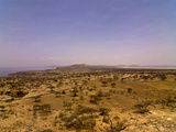 Abiata-Shala National Park  Ethiopia  Africa