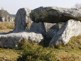 Kermario Menhirs in Carnac  Morbihan  Brittany  France  Europe