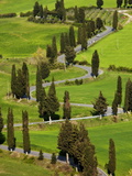 Strada Di Monticciello  Near Pienza  Tuscany  Italy  Europe