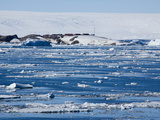 Research Station  Dumont D'Urville  Ile Des Petrels  Antarctica  Polar Regions