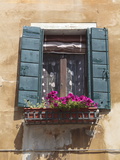 Window and Shutters  Venice  Veneto  Italy  Europe